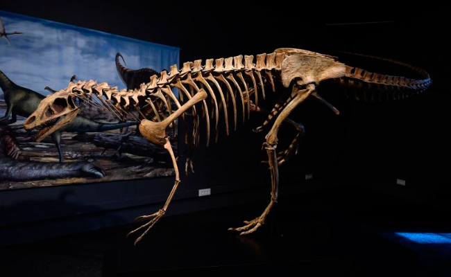 Caractersticas de los dinosaurios
