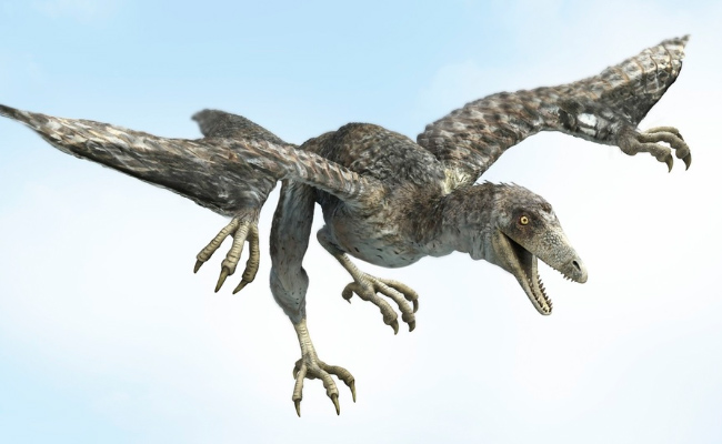 Dinosaurios voladores